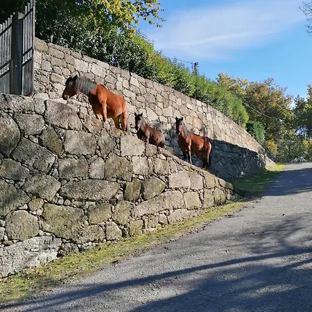 Casa De Ferias Do Parque Da Peneda Geres بيت للعطل *