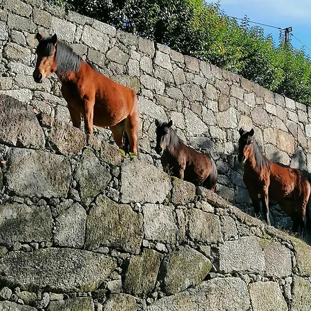 بيت للعطل Casa De Ferias Do Parque Da Peneda Geres فيلا فيرد
