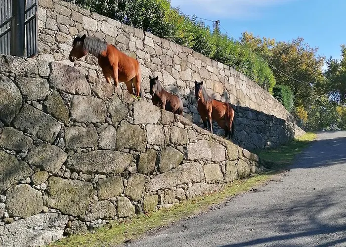 Casa De Ferias Do Parque Da Peneda Geres בית נופש *