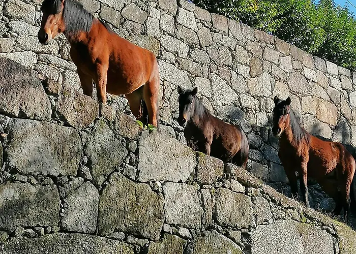 Dom wakacyjny Casa De Ferias Do Parque Da Peneda Geres Vila Verde (Braga)