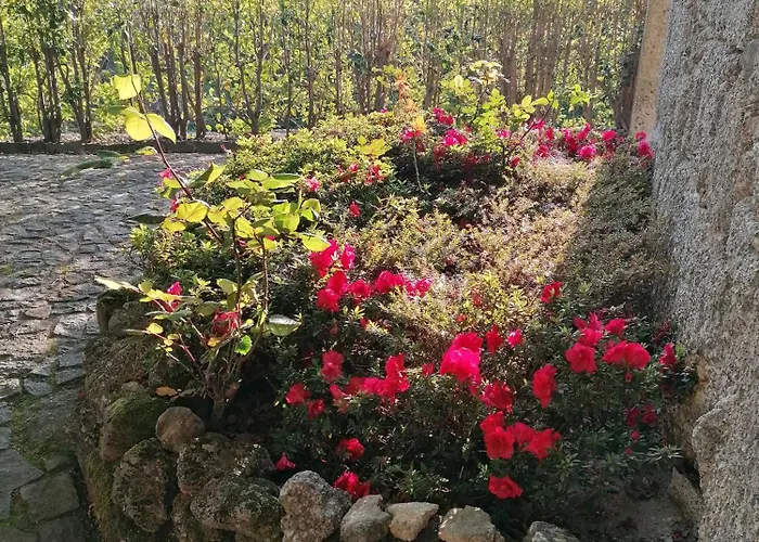 Casa De Ferias Do Parque Da Peneda Geres בית נופש וילה ורדה